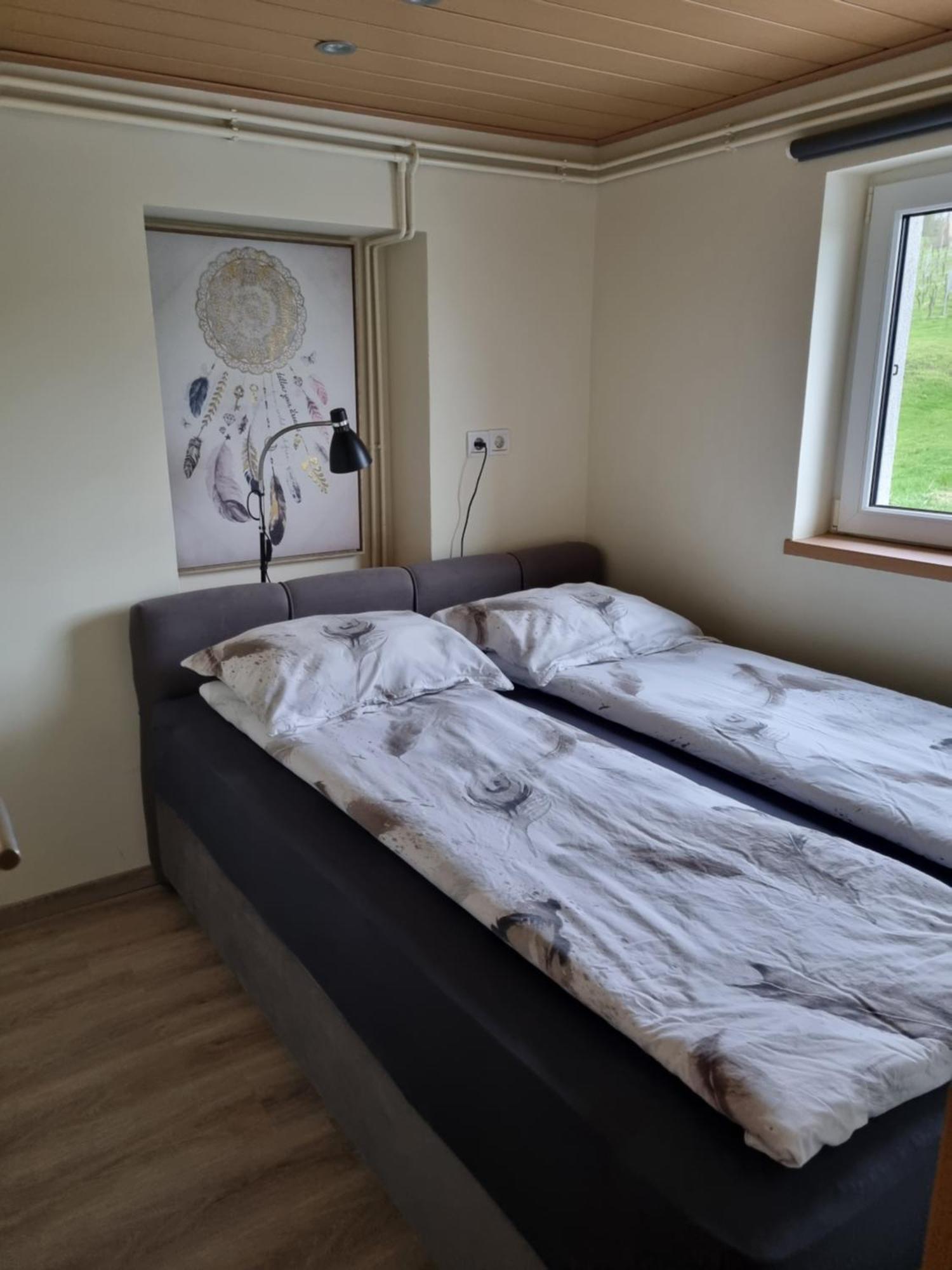 Villa Na Off Radenci Esterno foto